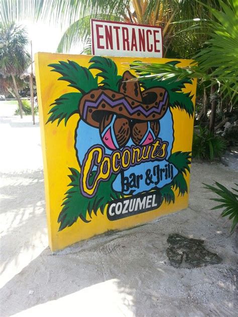 Coconuts in Cozumel | Cozumel mexico, Cozumel, Mexico