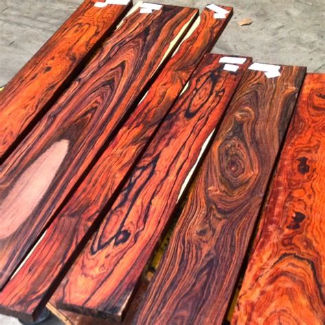 Tropical Exotic Hardwoods: Cocobolo!