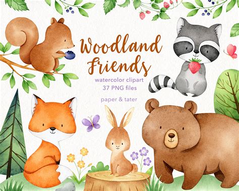 Watercolor Woodland Animals Clipart Graphics Forest Baby - Etsy