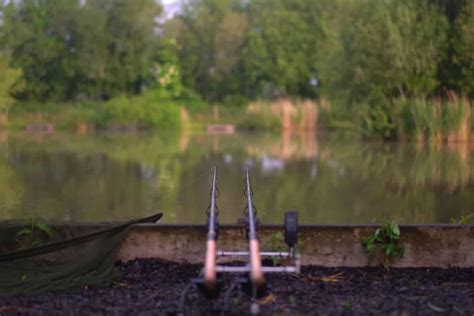 Somerset Carp Fishing Lakes Near Me - Discover The Best Fishing Spots