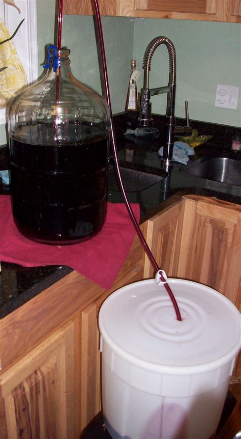 Homestead Roots: Wine Home Brew Step by Step with Pics - Pinot Noir Phase 2