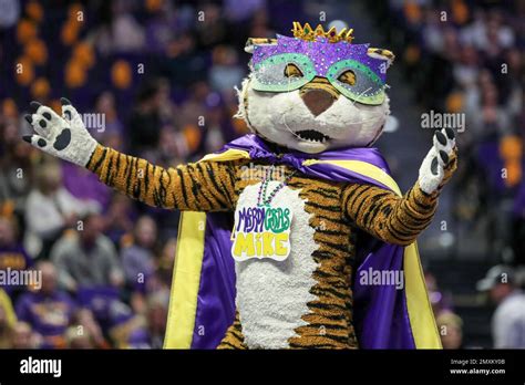 February 3, 2023: The LSU mascot Mike the Tiger dresses in his Mardi ...