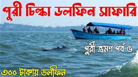 Chilika Lake Dolphins Odisha | Chilika Lake Dolphins | Chilika Lake ...