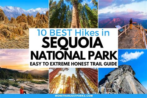 10 BEST Hikes in Sequoia National Park (Honest Trail Guide)