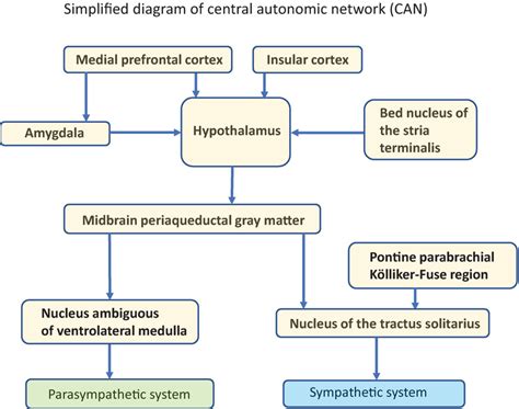 Acute Diarrhea as a Manifestation of Abdominal Epilepsy | IntechOpen