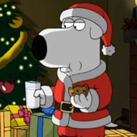 Brian Griffin (2/2) | Crazy funny pictures, Funny christmas pfp, Stewie ...