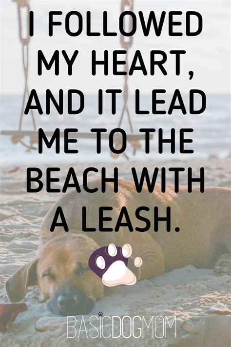 It's a dog beach kinda summer and we are here for it. All the best dog quotes here to fulfill ...