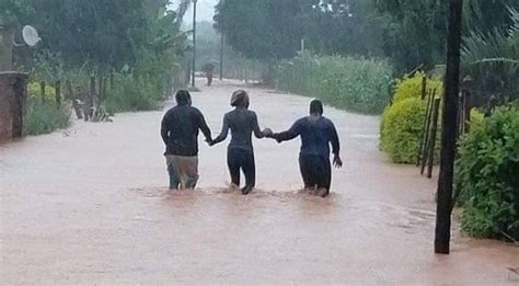 Cyclone Eloise: 2 children dead, hundreds of homes damaged across three ...