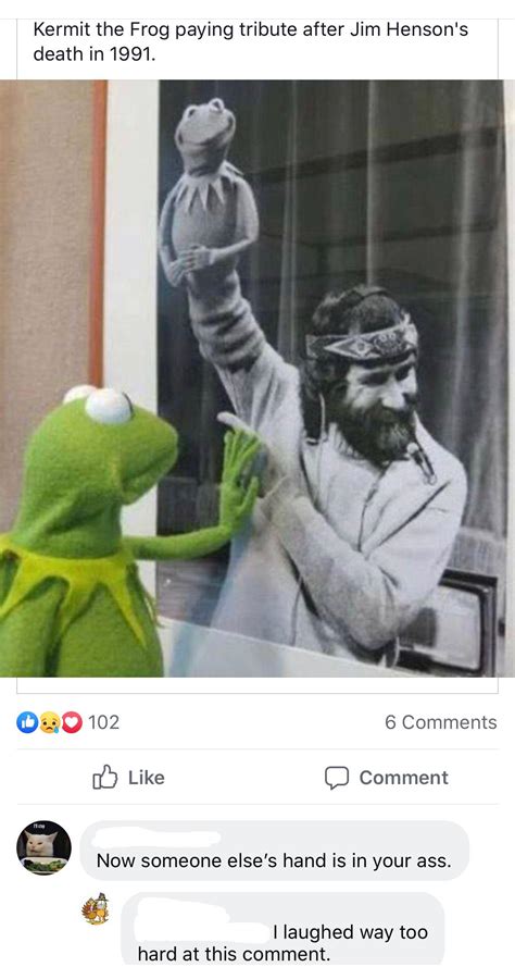 cursed_kermit : r/cursedcomments