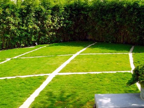 Lawn mowing and scarifying - Tips lawn in spring – Ofdesign