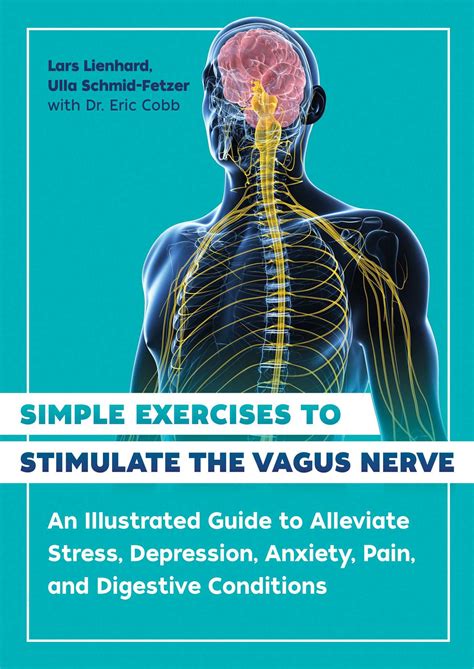 Simple Exercises to Stimulate the Vagus Nerve | Book by Lars Lienhard, Ulla Schmid-Fetzer, Eric ...