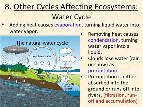 Biotic abiotic-cycles