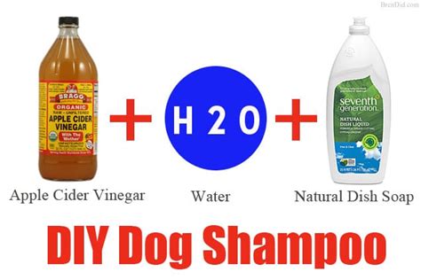 DIY Dog Shampoo All-Natural Non-Toxic