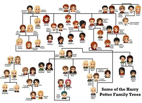 Pin by Francielly Freitas on Harry Potter | Harry potter family tree ...