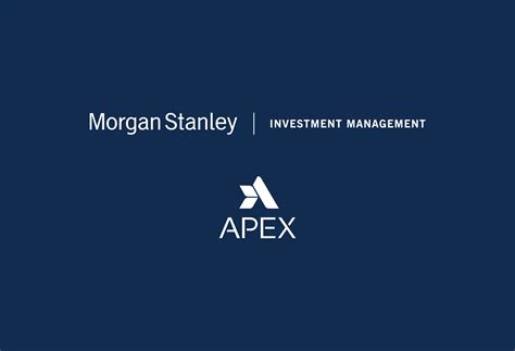 Morgan Stanley Capital Partners Acquires Apex Companies - Apex Companies