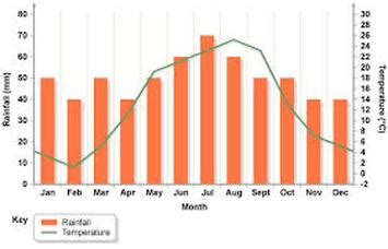 Climatogram - Temperate Rainforest