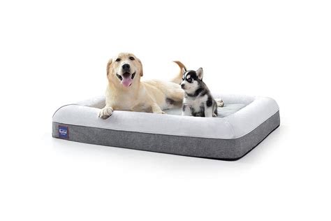 Top 10 Extra Large Dog Beds With Memory Foam