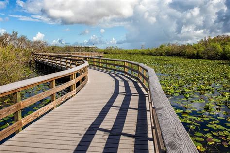 One Perfect Day in Everglades National Park | Earth Trekkers