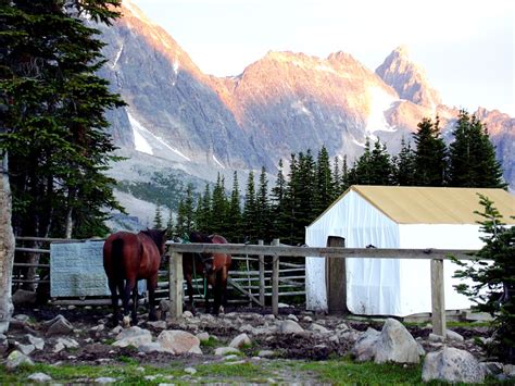 Horseback Tonquin Valley | Explore Jasper National Park Alberta Canada