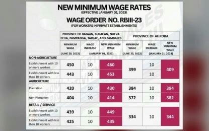 2nd tranche of pay hike for C. Luzon workers takes effect Jan. 1 ...