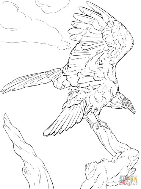 Realistic Turkey Vulture coloring page | Free Printable Coloring Pages