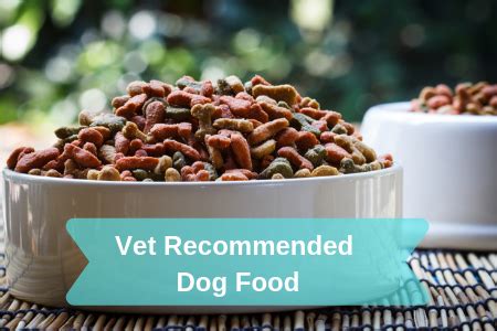 Vet Recommended Dog Food - 2019 | Therapy Pet