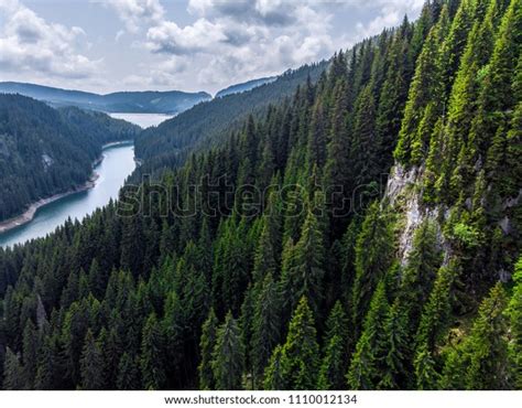 121,559 imágenes de Taiga forest - Imágenes, fotos y vectores de stock ...