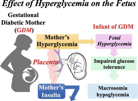 Future Risks for Children Born to Mothers with Gestational Diabetes ...