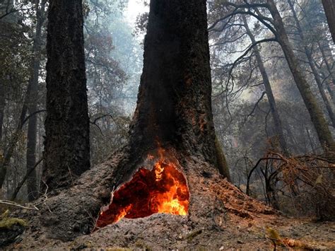 17 New Photos Show Impact Of California Wildfires | Across California, CA Patch