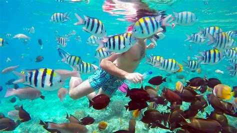 3 Gili Lombok Snorkeling Tour: Gili Trawangan, Gili Meno, Gili Air