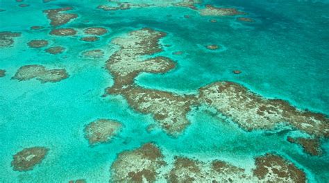 The Great Blue Hole at Lighthouse Reef Tours - Book Now | Expedia