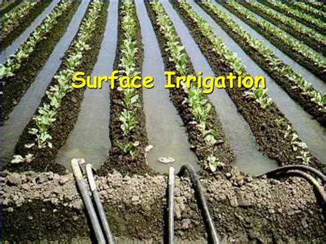 PPT - Surface Irrigation PowerPoint Presentation, free download - ID ...