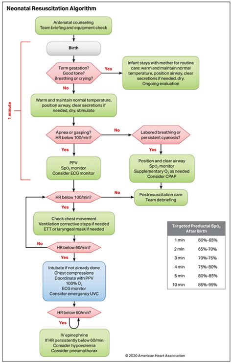 Part 5: Neonatal Resuscitation | American Heart Association CPR & First Aid