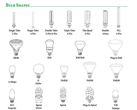 Light Bulb Types And Sizes Chart | My XXX Hot Girl