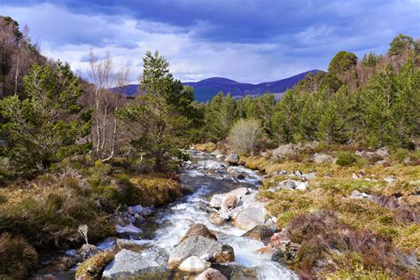 Cairngorms National Park, Scotland [OC] [4608x3072] : r/ImagesOfScotland