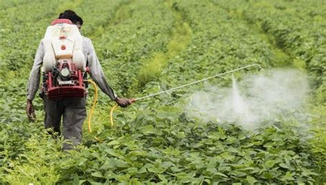 Top 10 Best Agricultural Chemical Companies in the United States