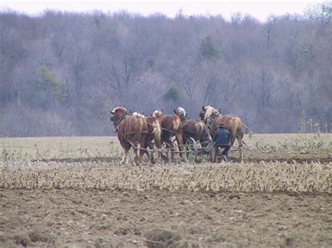 Amish Farming | The country is worked and preserved with con… | Flickr