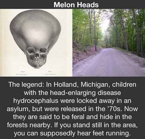 The Melon Heads Of Michigan : r/UrbanMyths