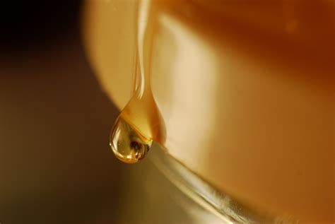 Honey | drop of honey just waiting for someone to photograph… | Flickr