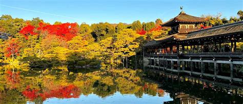 Beauty of Fall Foliage: 16 Day Luxury Tour of Japan | Zicasso