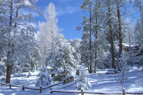 Idyllwild Activities & Links - Woodland Park Manor