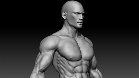 Realistic Muscular Man Zbrush HD 3Dモデル in 男の人 3DExport