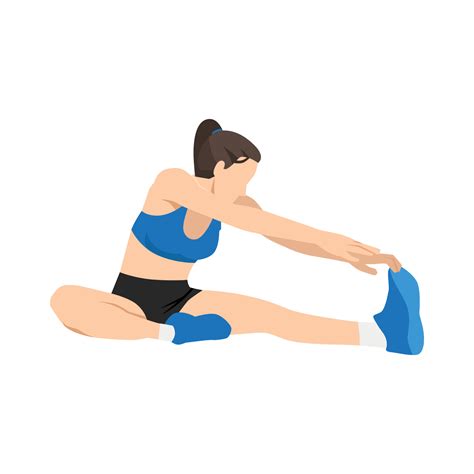 Woman doing Hamstring stretch exercise. Flat vector illustration isolated on white background ...