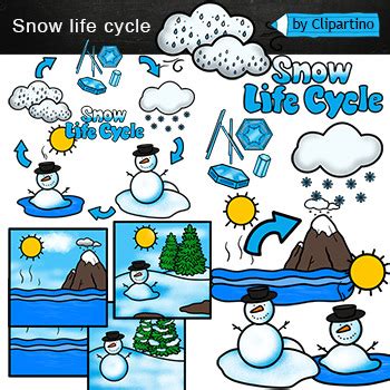 Snow life cycle clipart /Winter science clipart by Clipartino | TPT