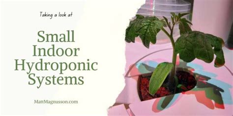 The Two Small Hydroponic Systems I Use & Recommend - Matt Magnusson