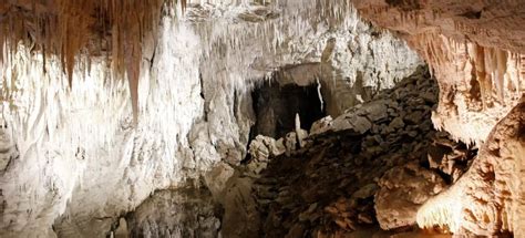 Waitomo Glowworm Caves, Waitomo - Book Tickets & Tours | GetYourGuide