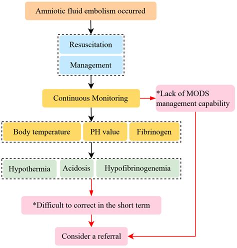 Referral of Pregnant Women with Amniotic Fluid Embolism: A Retrospective, Descriptive Study