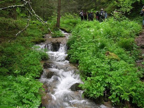 Kopaonik, Serbia - Travel Guide and travel Info - Exotic Travel Destination