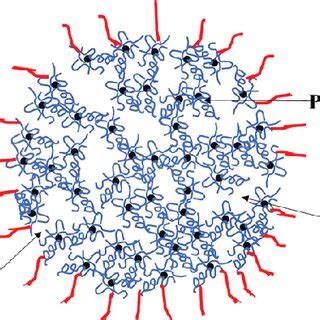 The structure of casein micelle: Black spheres represent the calcium ...