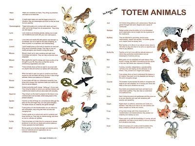 Printable guide to totem animals | Animal totems, Totem, Animal spirit guides